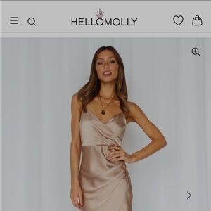 Hello Molly Satin Midi Dress in Champagne - never worn with tags